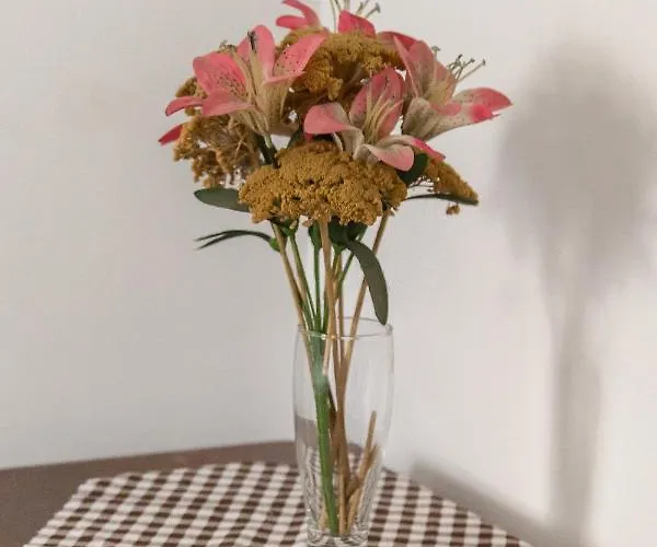 Apartma Ivana & Ivanka דירה בוהין